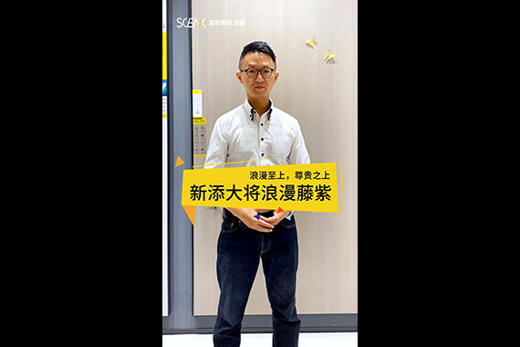 天鹅绒&middot;暖冬系列（浪漫藤紫-0196）